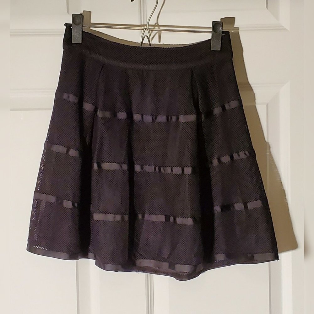 Black mesh skirt